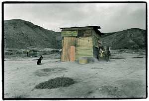 Dog and shack, Plakkerskamp